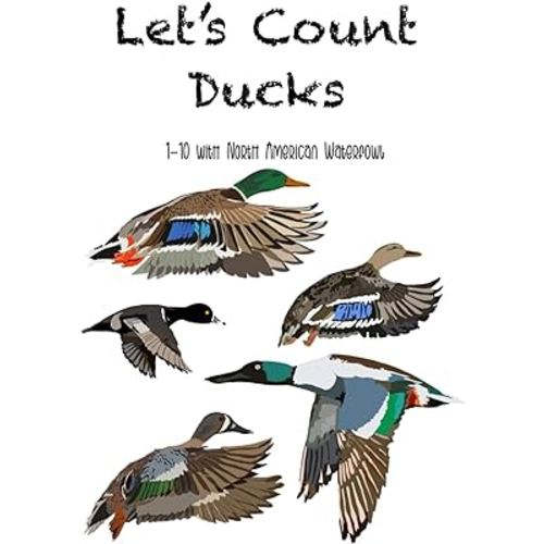 Let’s Count Ducks: 1-10 with North American Waterfowl