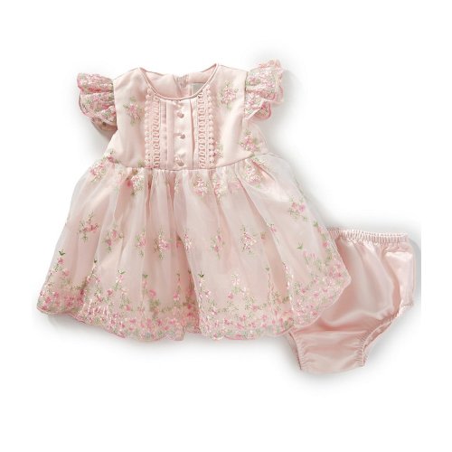 Rare Editions Baby Girls 3-24 Months Short Gather Sleeve Embroidered Flower Mesh Dress