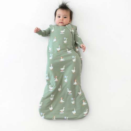 Sleep Bag in Silly Goose 1.0