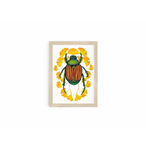 Gingko June Bug Beetle Art Print, Insect Taxidermy