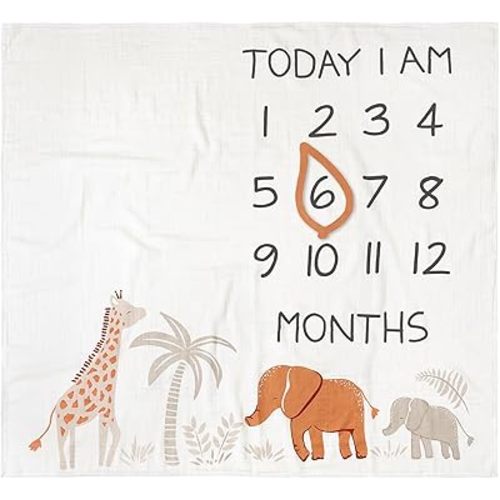Modern Moments by Gerber Muslin Milestone Blanket with Felt Month Marker Frame