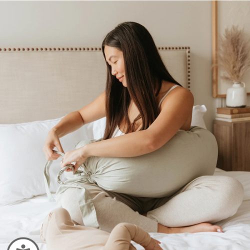 Pregnancy/Nursing Pillow – WildBird