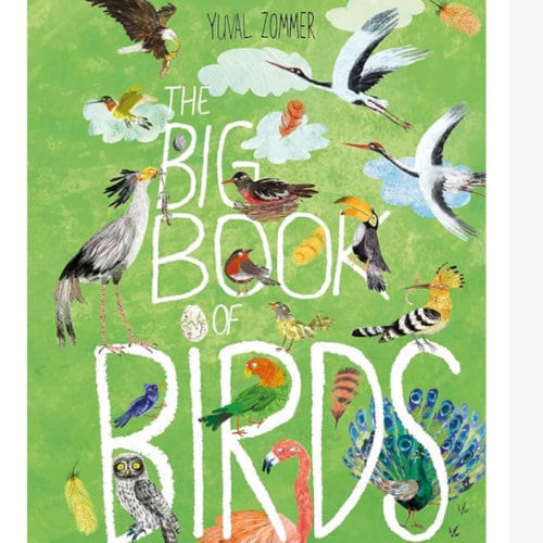 The Big Book of Birds
