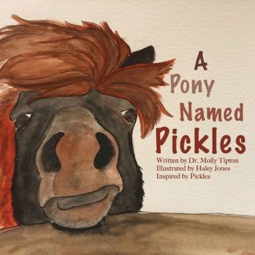 A Pony Named Pickles - by Molly Tipton (Paperback)