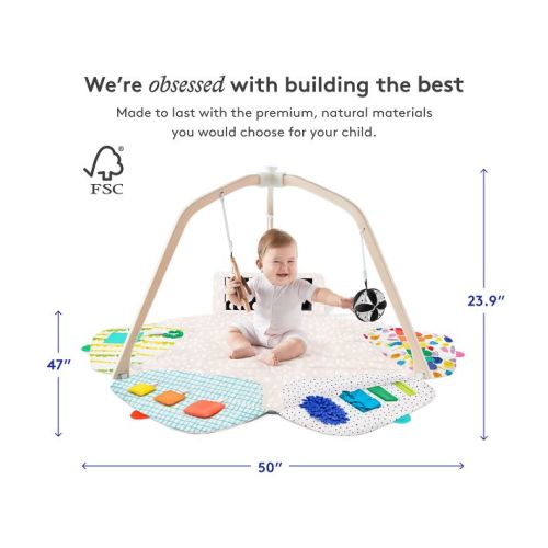 Lovevery Play Gym