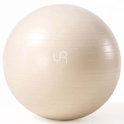 YR 65CM Exercise Ball, Anti-Burst and Slip Resistant Stability Ball for Yoga Pilates Workouts and Physical Therapy, White