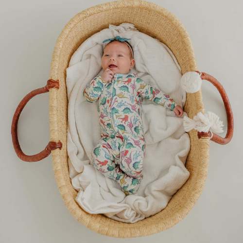 Zip-Up Footie Pajama - Dinosaurs of Jurassic Park - 6-12 months