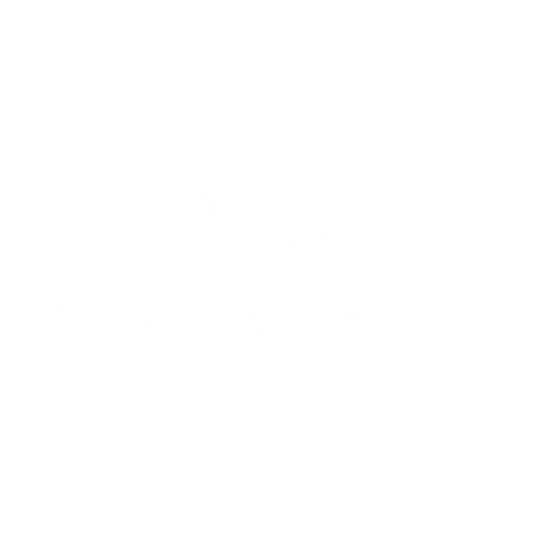 1:50 Scale 2024 No.57 Silva Motorsports Inc. x Kyle Larson- Diecast – Shop Kyle Larson