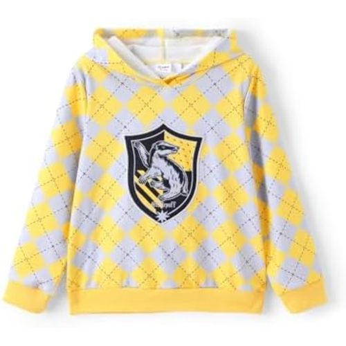Harry Potter Hoodie for Kids Girls Boys Gryffindor Slytherin Ravenclaw Hufflepuff Pullover Hooded Sweatshirt Hogwarts Clothes