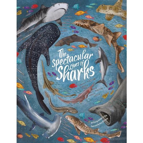 The Spectacular Lives of Sharks