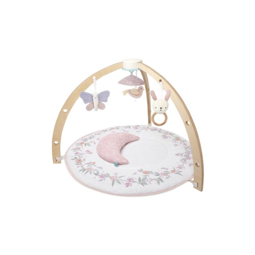 Play & Discover Baby Activity Gym