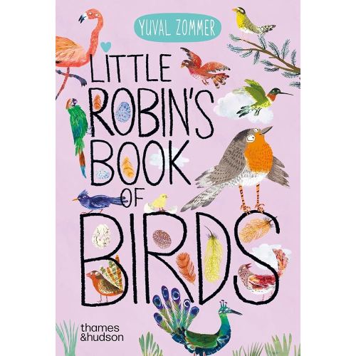 Little Robin's Book of Birds (Big Book of...)