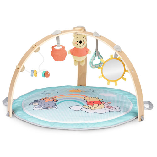 Bright Starts Disney Baby Winnie the Pooh Hunny Hangout Activity Gym & Reviews | Wayfair
