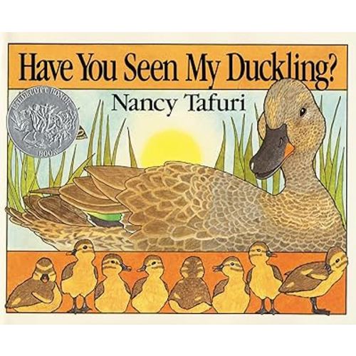 Have You Seen My Duckling?