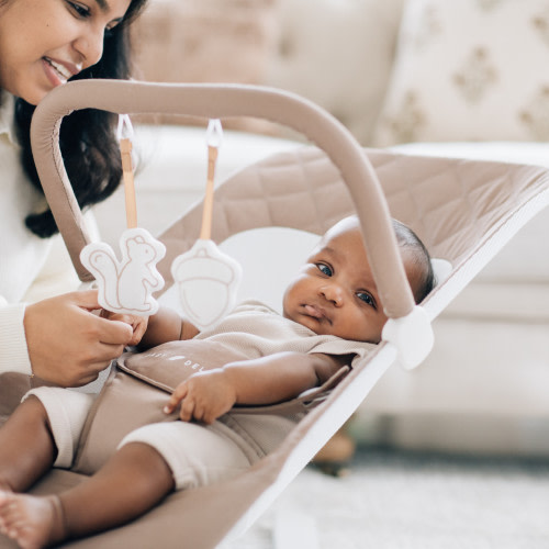 Alpine Organic Deluxe Portable Bouncer - Organic Mocha