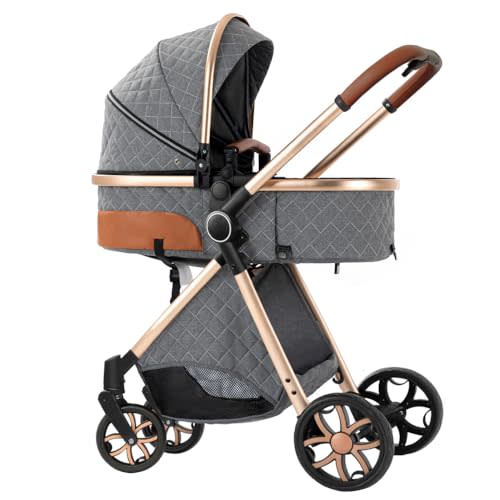 2 in 1 High View Convertible Baby Stroller,Grey | Portable Foldable Build, Multi-Position Adjustable Canopy For Daily Infant Use