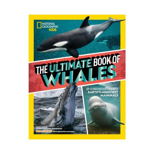 The Ultimate Book of Whales - (National Geographic Kids Ultimate Books) by Brian Skerry & Stephanie Warren Drimmer (Hardcover)
