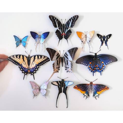 Realistic Paper Butterflies, Faeirie-Tails II Collection, Art Nouveau, 11 Piece Set