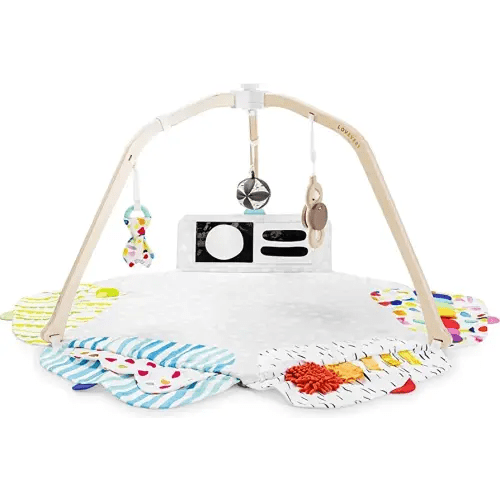 LOVEVERY | The Play Gym | Award Winning For Baby , Stage-Based Developmental Activity Gym & Play Mat for Baby to Toddler