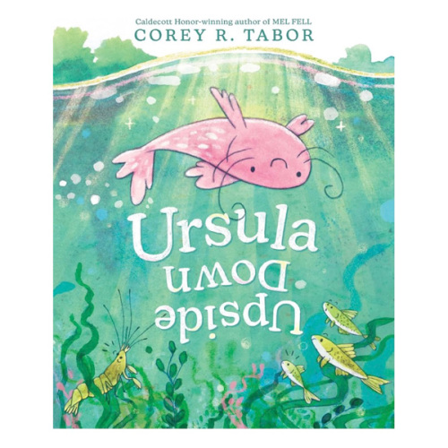 Ursula Upside Down: An Inventive Picture Book Adventure about Finding Confidence