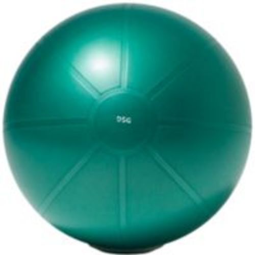 DSG Premium Stability Ball | Dick's Sporting Goods