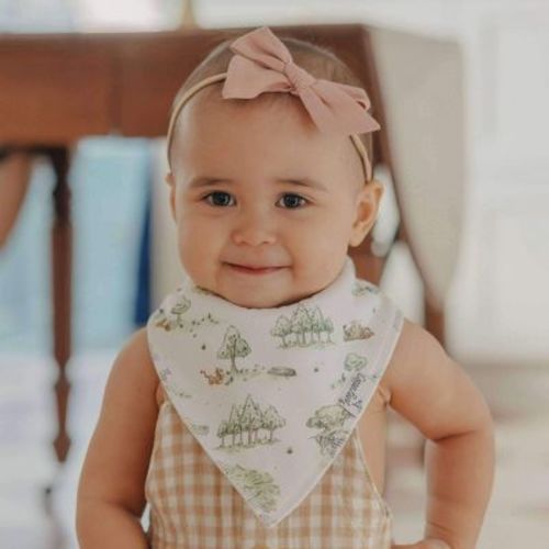 Copper Pearl | Hundred Acre Wood Bandana Bib Set