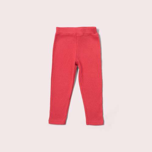 Holly Berry Organic Waffle Leggings – Little Green Radicals