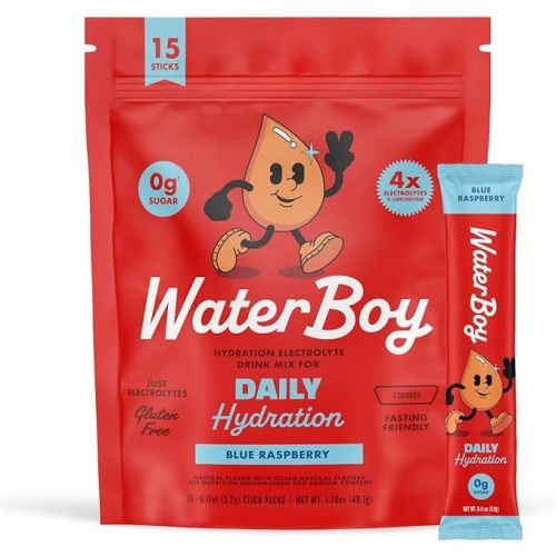 Waterboy Daily Hydration | 1,570mg Electrolyte Powder Packets | No Sugar, All Natural, Gluten Free, Zero Calories | 15 Drink Stick Mixes (Blue Raspberry)