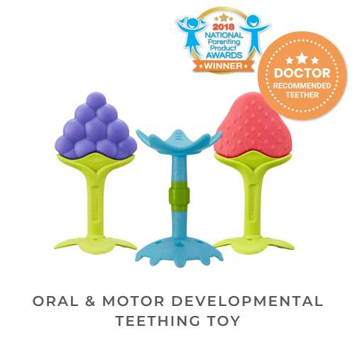 Oral & Motor Developmental Set
