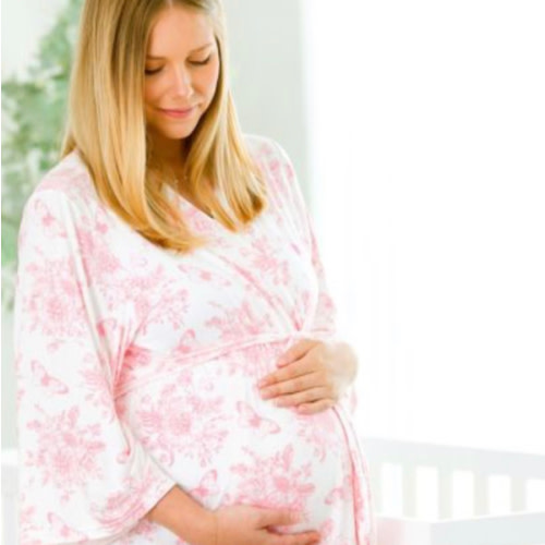 Pink Butterfly Garden Toile Women's Maternity Robe