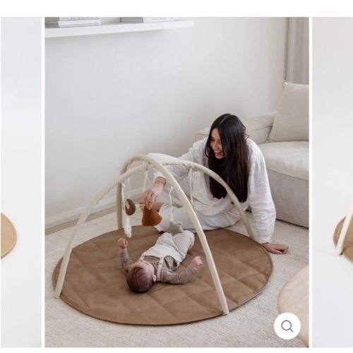 Baby Play Gym Bars & Toys