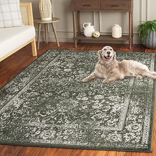 SAFAVIEH Adirondack Collection Area Rug - 9' x 12', Dark Green & Ivory, Transitional Design, Stain Resistant, Ideal for High Traffic Areas in Living Room, Bedroom & Dining Room (ADR109Y-9)