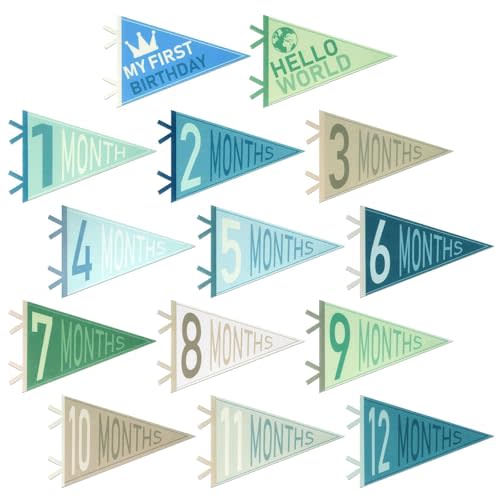 14PCS Monthly Milestone Signs Felt Pennant,1-12 Months New Signs Pennant Flag for Photos, Announcement Sign for Birthday Decor