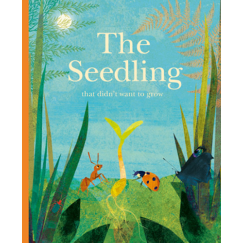 The seedling that didn't want to grow book by Britta Teckentrup
