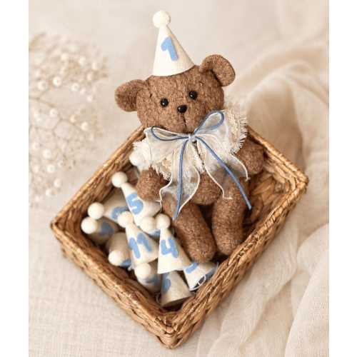 Teddy with Number 12 Hats, Milestone Photo Prop Set, First Baby Birthday Hat Keepsake