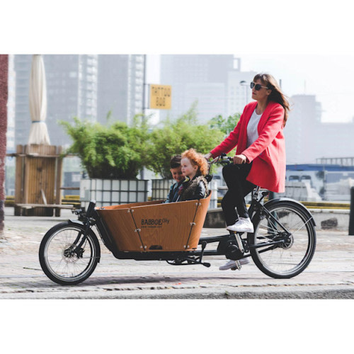 Babboe Cargo Bike - City
