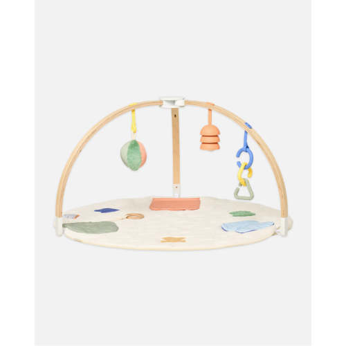 The Play Gym II