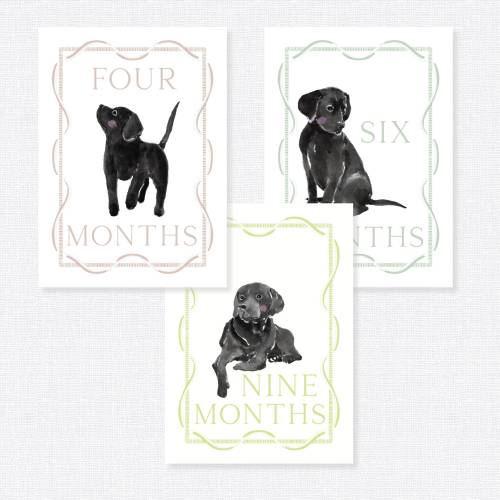 Black Lab Puppy Milestone Cards, Baby Photo Props