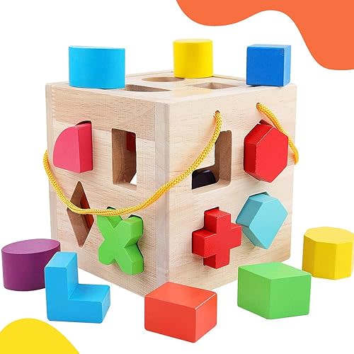 QZMTOY Shape Sorter Toys, Classic Wooden Toys, Natural Solid Wood with 19 Shape Blocks, for Toddlers Kids, Gift for Girls Boys 2-4
