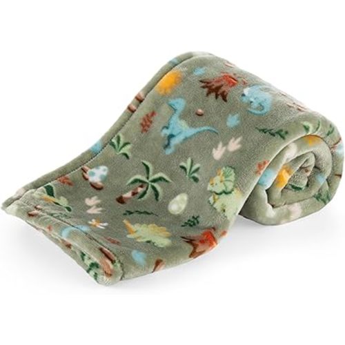 Berkshire Velvetloft® Baby Blanket — Warm Fleece Nursery Throw, Toddler Blanket for Crib, Stroller, and Travel, Ideal Newborn Baby Gift, Autumn Dino Scene Simple Sage, 30 in x 40 in