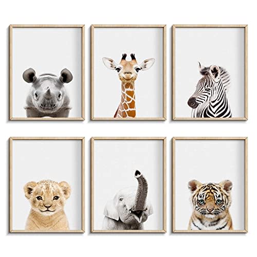 Safari Cute Animal Decor: Rhino, Giraffe, Zebra - Wall Art for Baby Bedroom (8x10, Unframed)