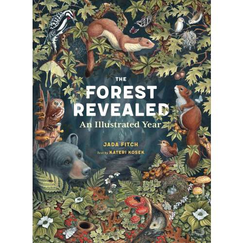 The Forest Revealed: An Illustrated Year | Barnes & Noble®