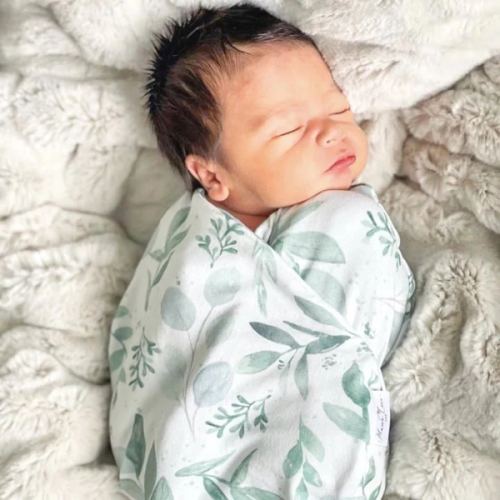 COCOON SWADDLE - Classic Brushed Saged Eucalyptus