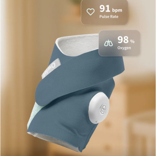 Dream Sock® – Owlet US