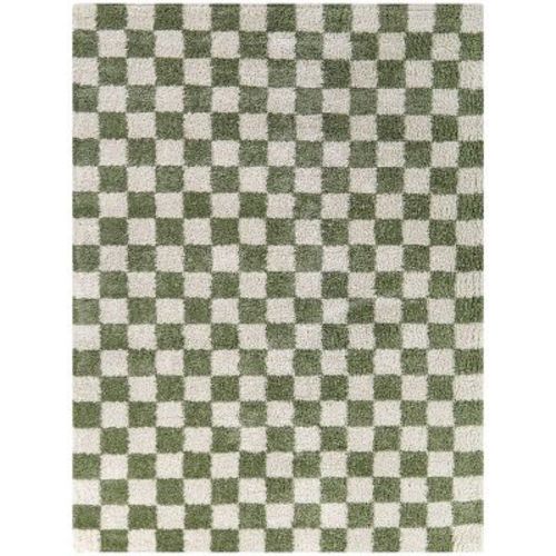 Havill Classic Checkered Kids' Area Rug - Balta Rugs