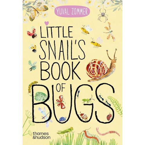 Little Snail's Book of Bugs (Big Book)