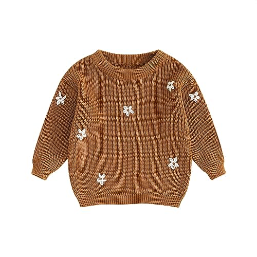 Infant Toddler Baby Girl Knit Sweater Long Sleeve Floral Embroidery Pullover Sweatshirt Warm Fall Winter Clothes
