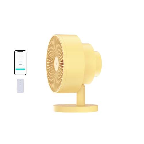 The Windmill Fan