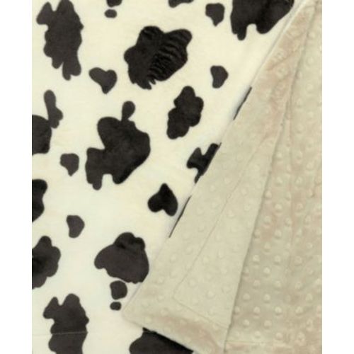 Minky Baby Boy Blanket