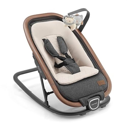 2-in-1 Baby Bouncer Seat for Infants, Portable Baby Rocker with 3 Adjustable Backrest Positions & Travel Bag - Dark Gray